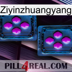 Ziyinzhuangyang 03